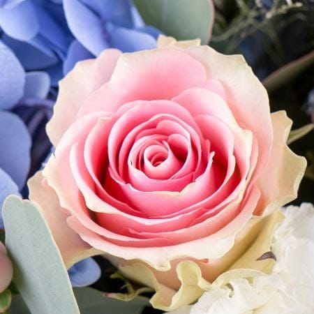Аквамариновые мечты 7840 грн