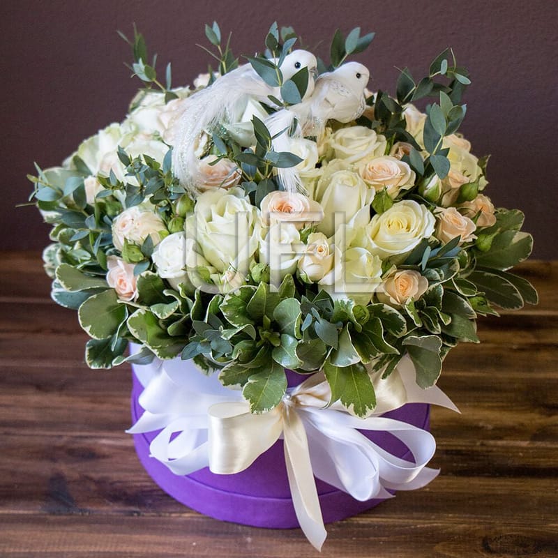 Cloud lightness 377 $