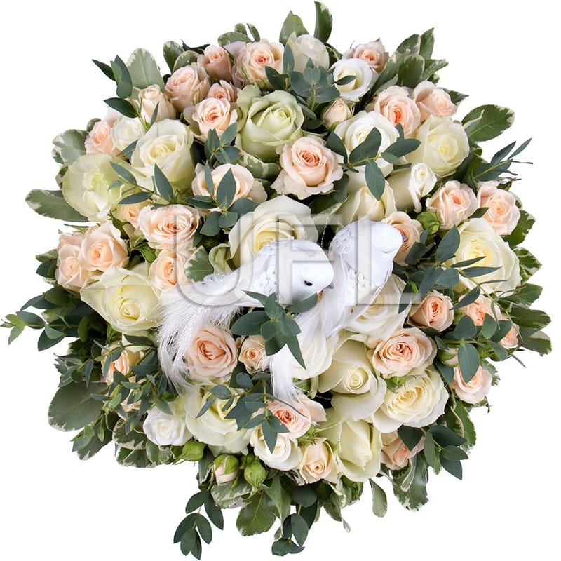 Cloud lightness 377 $