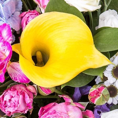 Букет квітів Мелодія кольорів 0 грн
