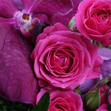 <p>The Kingdom of marvelous flowers will reveal its charms to thou who worth it. The fairy combination of orchids Vanda, bouvardia, veronica, scabiosa, chamelaucium, pink hydrangeas and spray roses is a magic garden living its own life.<br />
<br />
<st 8806 грн