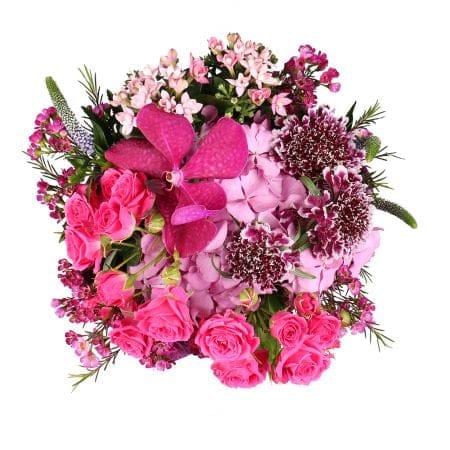 <p>The Kingdom of marvelous flowers will reveal its charms to thou who worth it. The fairy combination of orchids Vanda, bouvardia, veronica, scabiosa, chamelaucium, pink hydrangeas and spray roses is a magic garden living its own life.<br />
<br />
<st 8806 грн