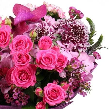 <p>The Kingdom of marvelous flowers will reveal its charms to thou who worth it. The fairy combination of orchids Vanda, bouvardia, veronica, scabiosa, chamelaucium, pink hydrangeas and spray roses is a magic garden living its own life.<br />
<br />
<st 8806 грн