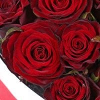 Сердце из роз в коробке 9240 грн