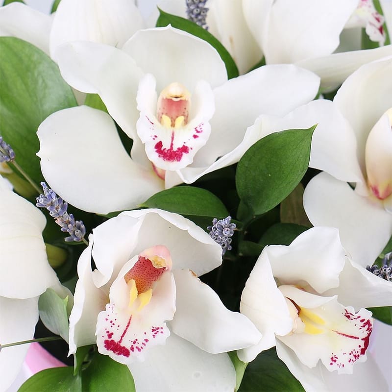 Flower box Tenderness of orchids 411 €