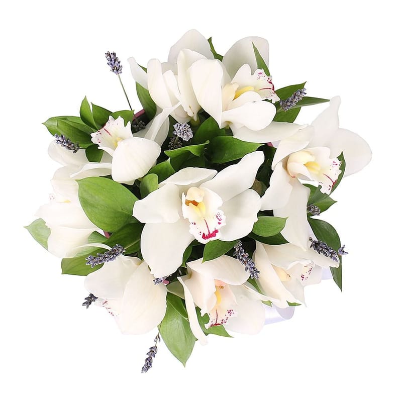 Flower box Tenderness of orchids 411 €