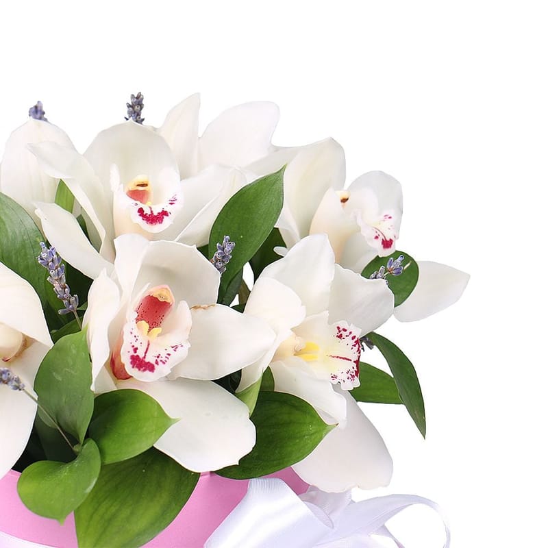 Flower box Tenderness of orchids 411 €