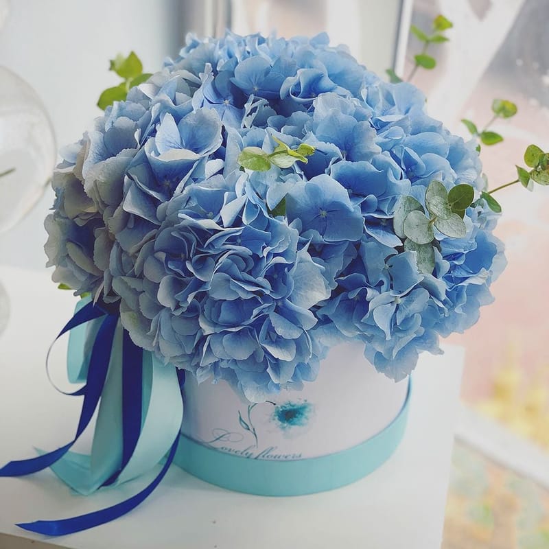 Blue hydrangea in a box 197 $