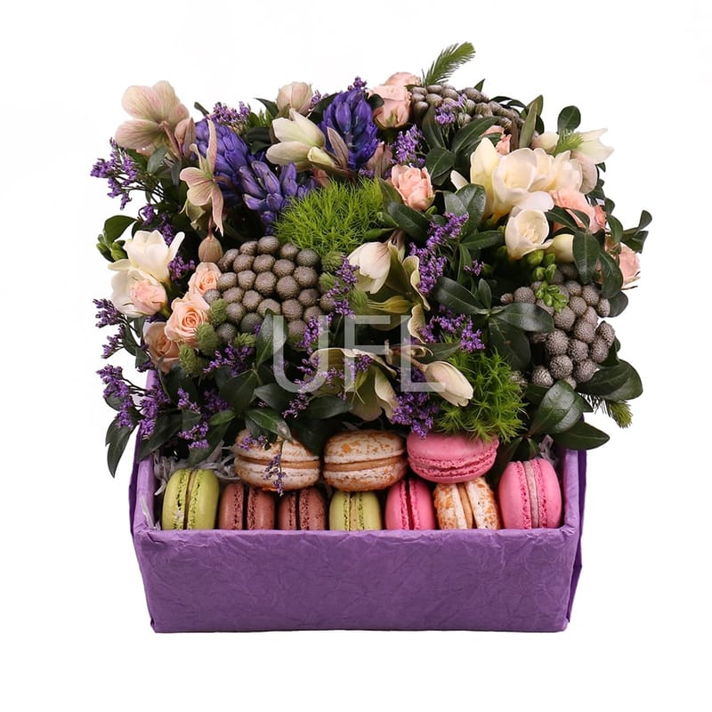 Macaroon Paradise 0 $