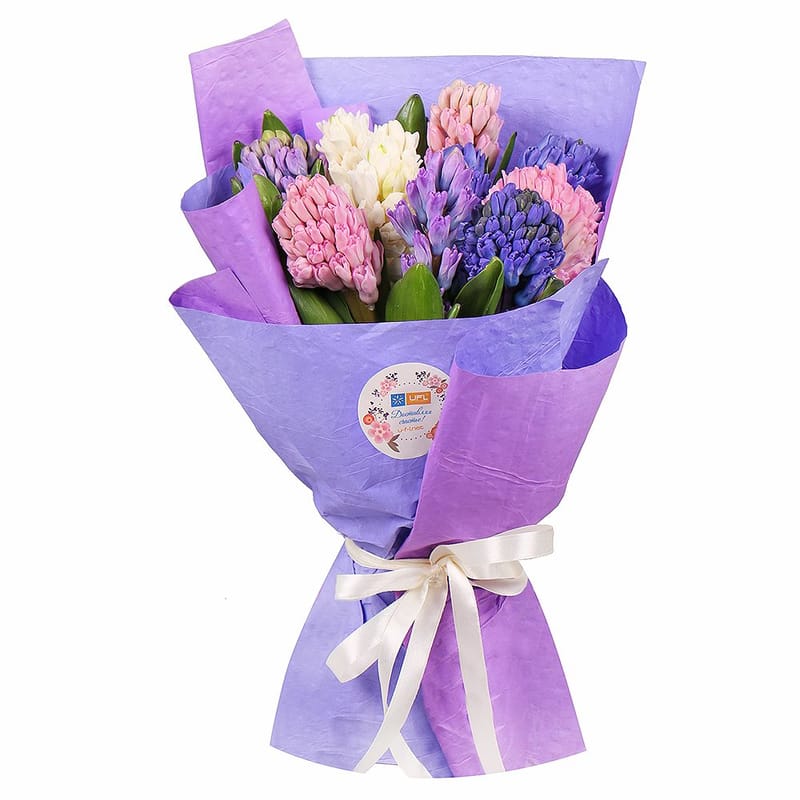 Mix of hyacinths 0 $