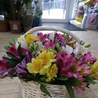 Flowers delivery Gomel