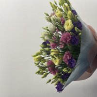Фотография цветов