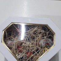 Фотография цветов