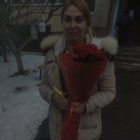 7 red roses - Belgrade (Serbia)