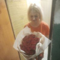 25 red roses - Bad Fussing