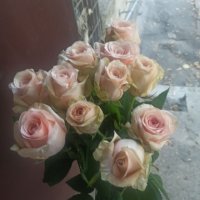 Поштучно коралловые розы - Киев
