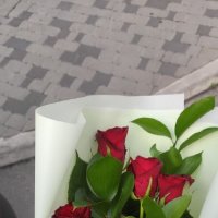 Акция 3 красные розы - Черновцы