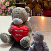 Серый тедди  I love you