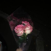 Бело-розовые розы поштучно