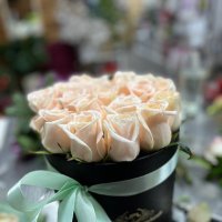 Cream roses in a box