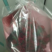 Promo! 51 red roses - Bergen (Netherlands)