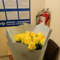 25 yellow roses - Faial