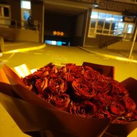 51 красная роза (акция)