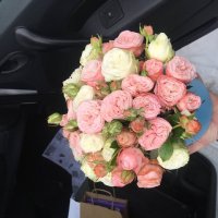 Spray roses in a box - Bexley