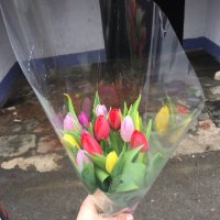 Tulips by the piece