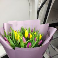 25 yellow and purple tulips