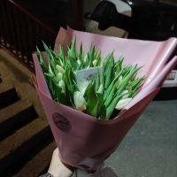 25 white tulips - Krasnoperekopsk