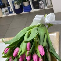 Pink tulips by the piece