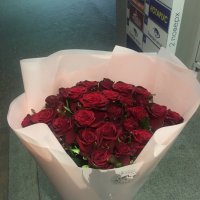 Фотография цветов