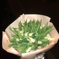 51 white tulips