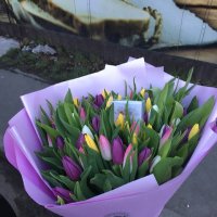 Букет 7 розовых роз