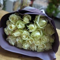 25 white roses