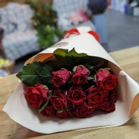 11 red roses - Rogaska Slatina