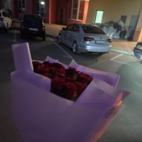 51 red roses  - Palma di Montechiaro