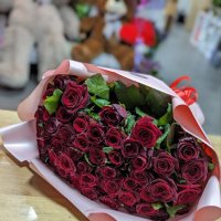 51 red roses  - Burgos