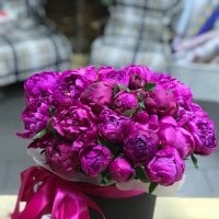 Peony in a box - Moers