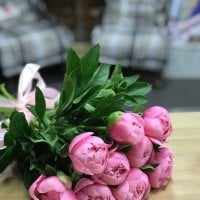 Peony is light pink by the piece - Alekcandrovka