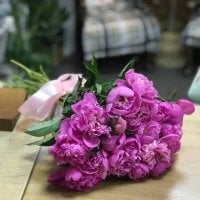 Розовые местные пионы - Арад