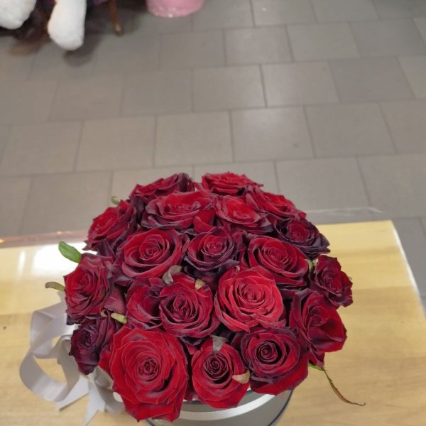 Красные розы в коробке 23 шт