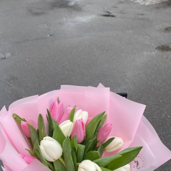15 pink and white tulips  - Skanderborg