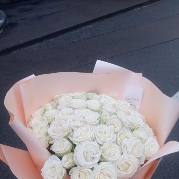 Promo! 51 white roses - Belgorod_dnestrovskiy