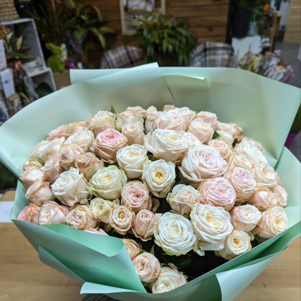 Promo! 51 pink roses 40 cm - Korostyshev