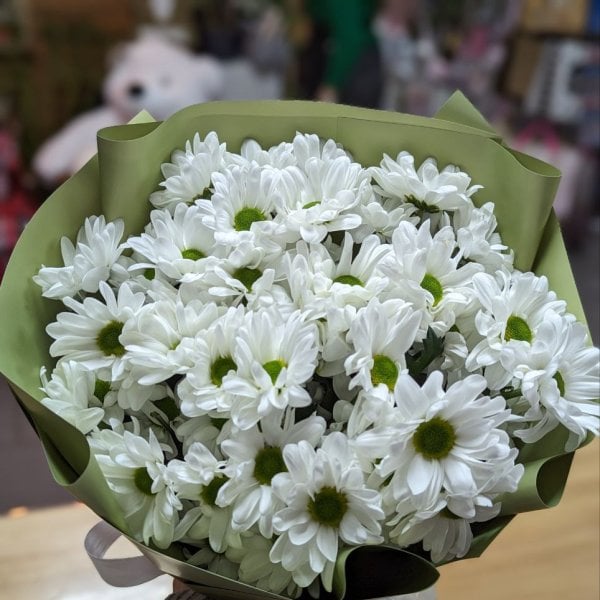 Bouquet of chamomiles