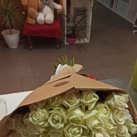 Поштучно красные розы 70 cм