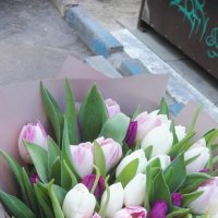 35 tulips mix - Naples