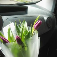 Приятное поздравление 7 фиолетовых тюльпанов